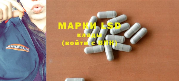 apvp Горняк