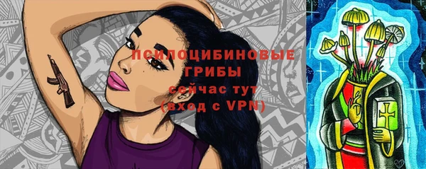 гидра Волоколамск